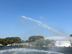 -苏州太湖西山岛开心农场