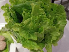 -古乐牛香·鲜牛肉牛杂火锅(千灯店)