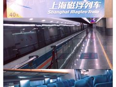 -浦东1号2号航站楼(地铁站)