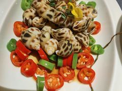 炝拌花螺-锦府园·新台州菜(合生汇店)