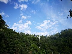 -火炉山森林公园