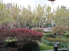 -荷风细雨·中国茶宴(碧云店)