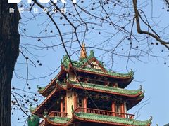 -桂湖森林公园