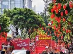 -越秀西湖花市(广州城市广场花卉店)