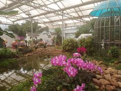 -石家庄市植物园
