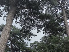 -妙峰山风景名胜区