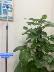 -广州紫馨整形外科医院
