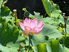 -江南天池