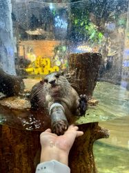 点击看大图 -Zoolung Zoolung动物主题公园(海信广场店)