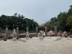 -亚龙湾热带天堂森林公园