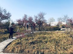 -石家庄市植物园