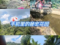 -野象谷景区