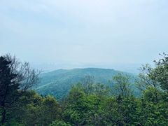-惠山国家森林公园