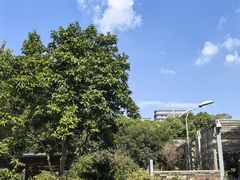 -凤来栖·净庭院·火锅(欧尚店)