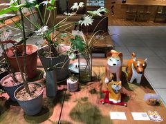 -柴务处·柴犬主题狗咖