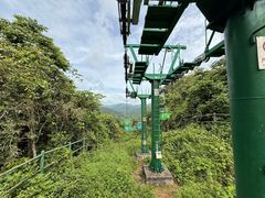 -野象谷景区
