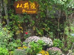 -火炉山森林公园