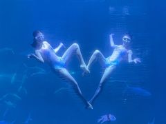 -福州罗源湾海洋世界旅游区