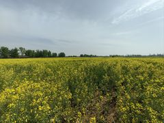 -汉长安城未央宫国家考古遗址公园