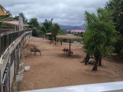 -泉州海丝野生动物世界