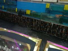 -松北囍宴(松北店)