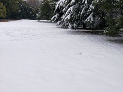 -春兰国宾馆(凤城河风景区老街店)