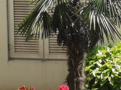 -莱蔻·圣灸堂·推拿艾灸(天山店)