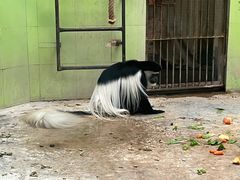 -石家庄市动物园