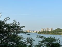 -立新湖公园