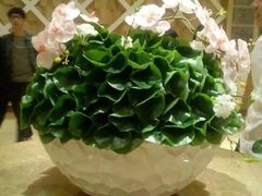-堂会·KTV·自助餐·团建聚会(天河店)