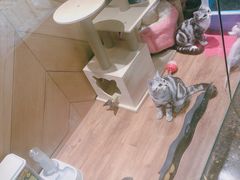 -约网咖(西塔店)