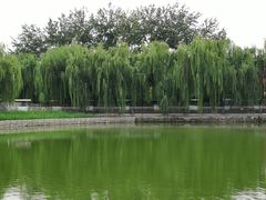 -黄村公园