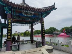 -莲花池公园