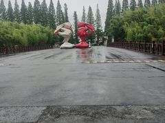 -黄海国家森林公园