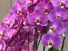 -登特口腔医院(鼓楼东街口店)