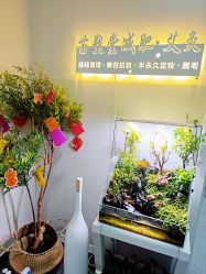 -苗塑堂减肥·艾灸