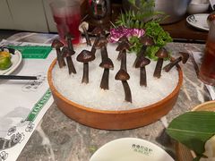 -禄婶鸡煲·打边炉