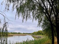 -野鸭湖国家湿地公园