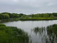 -贡湖湾湿地公园