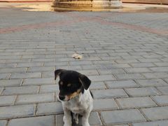 -紫海香堤香草艺术庄园