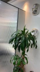 -爱秀造型 T-G