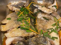 -碧中海汤泉汗蒸酒店