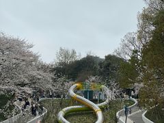 -杭州少年儿童公园