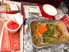 -海南海航航空信息系统公司