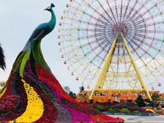 -七彩云南欢乐世界