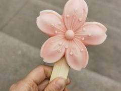 -桃花堤公园