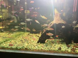 -青木造型HAIR·あおき髪を刈る潮人店