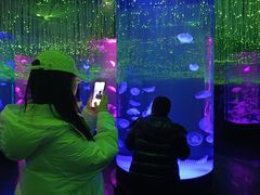 -哈尔滨波塞冬海底世界