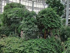 -郑州植物园
