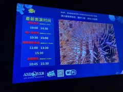 -合肥海洋世界